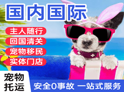 忻州五台山机场快递国际宠物托运 【国